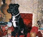 pharoah-on-the-throne2221061610o