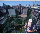Purple Roof WTC photo by Harvey Wang