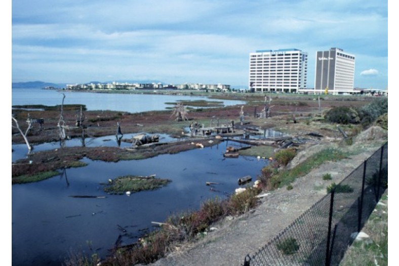 ca976emeryville006