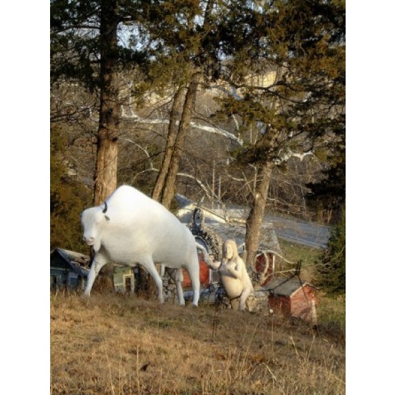 white-buffalo