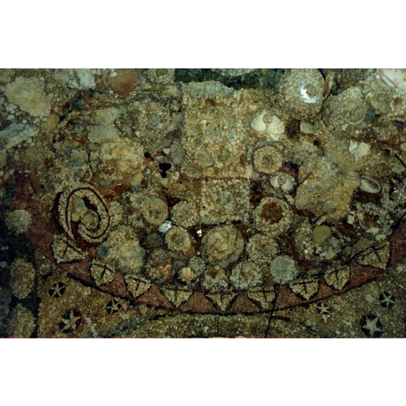 ia287dobbersteinborr049