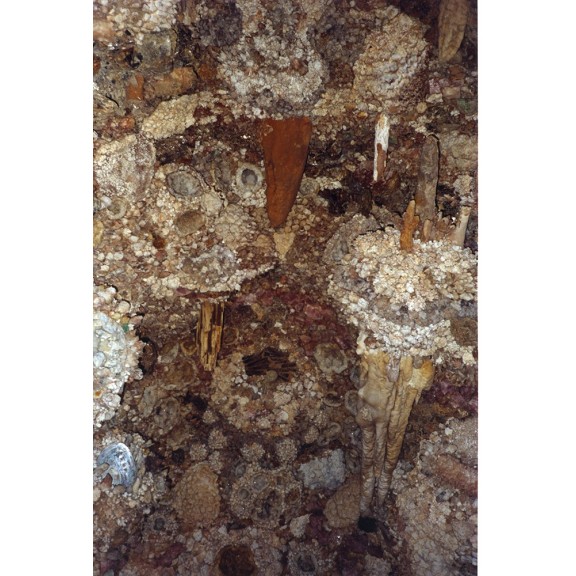 ia287dobbersteinborr066