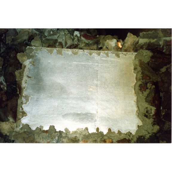 wi892wagnervborrelli009