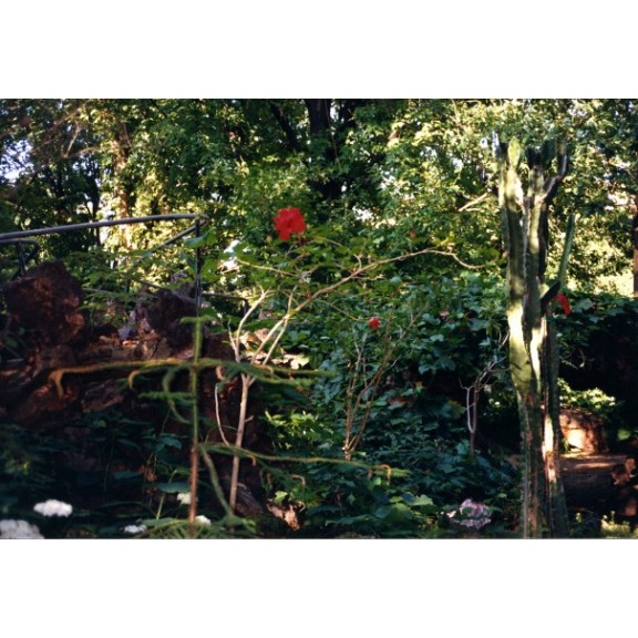 wi892wagnervborrelli047