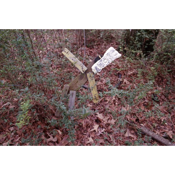 al439holleyfoster021