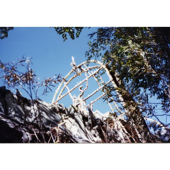 nv885thunderborrelli022