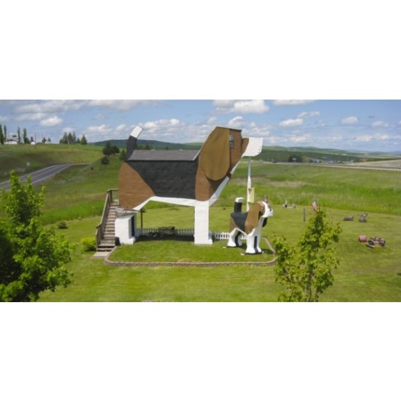 dog-bark-park-inn3-990x500