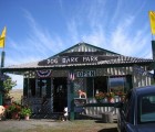 dog-bark-park-office-giftshop