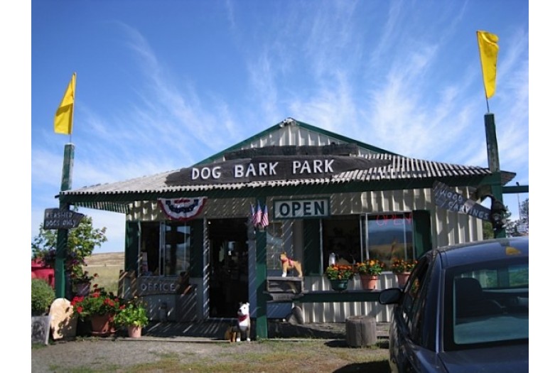 dog-bark-park-office-giftshop