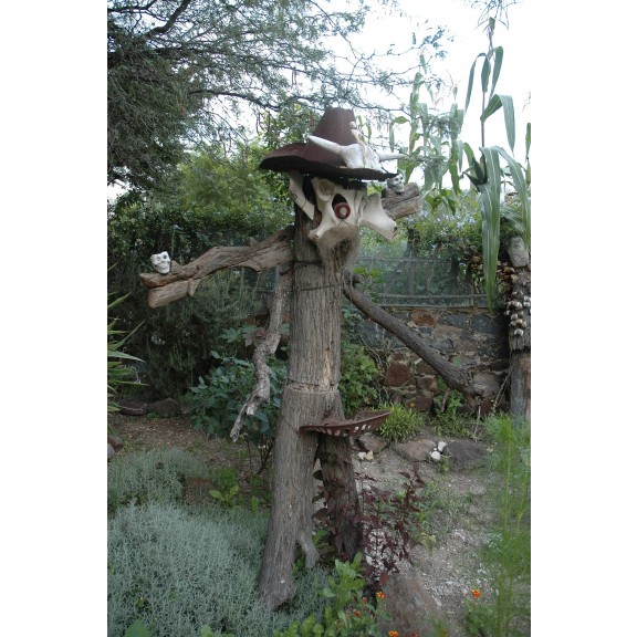 anado-in-san-miguel-031