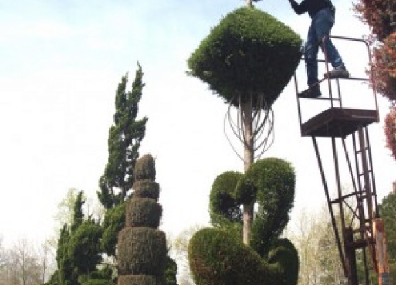 02scbishopvillepearl12317722048l