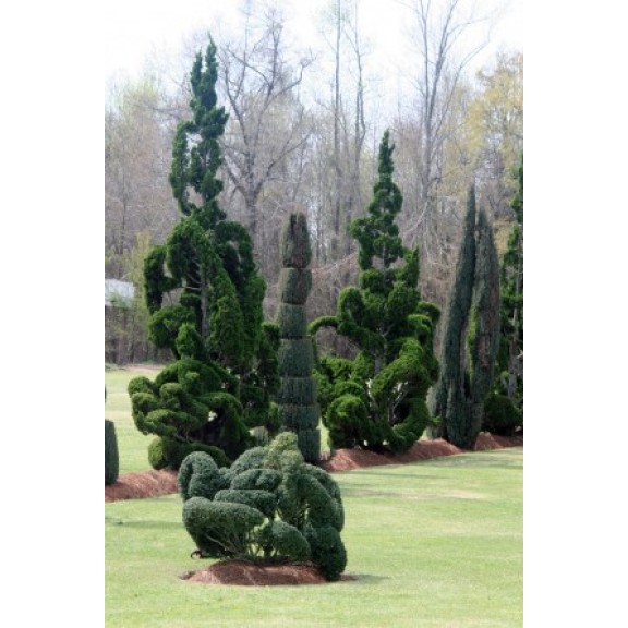 scbishopsvillepearlenviron122317730338l
