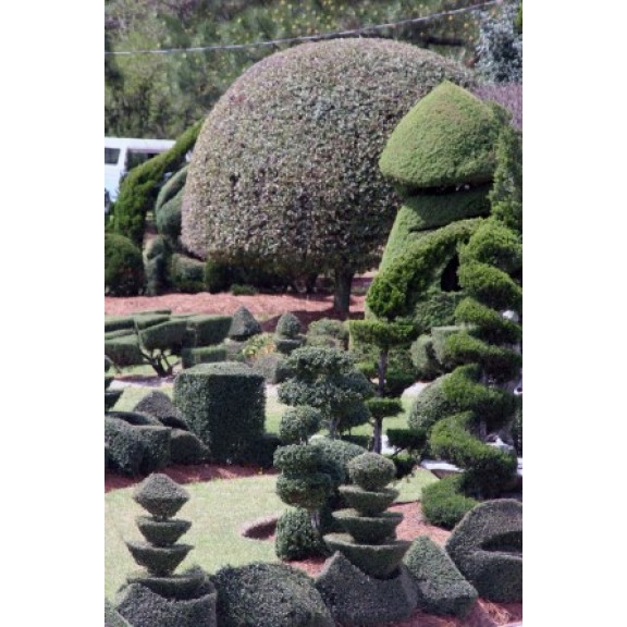 scbishopsvillepearlenviron182317733076l