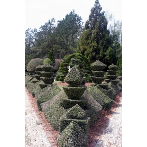 scbishopsvillepearlenviron232317738308l