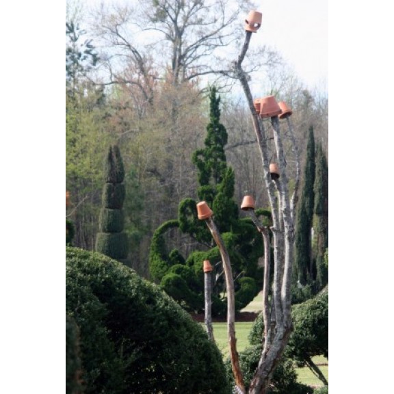 scbishopsvillepearlenviron32316896125l
