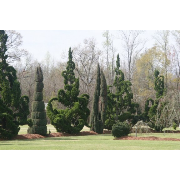 scbishopsvillepearlenviron52317711590l