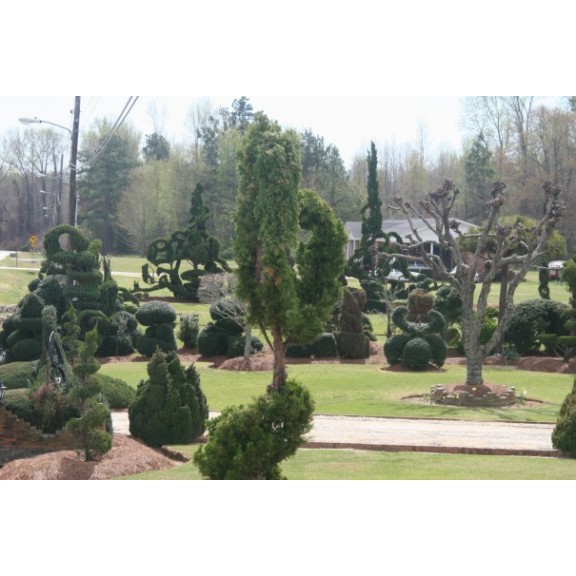 scbishopsvillepearlsweep22316928147l