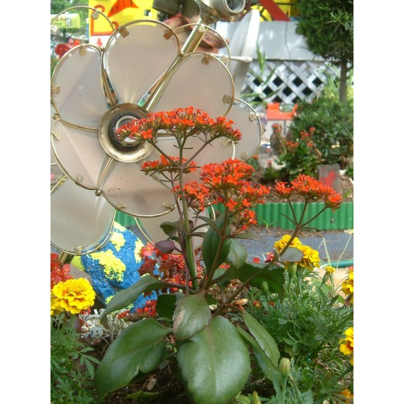 flowerman-flower12234994186l