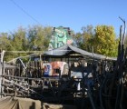 img8918
