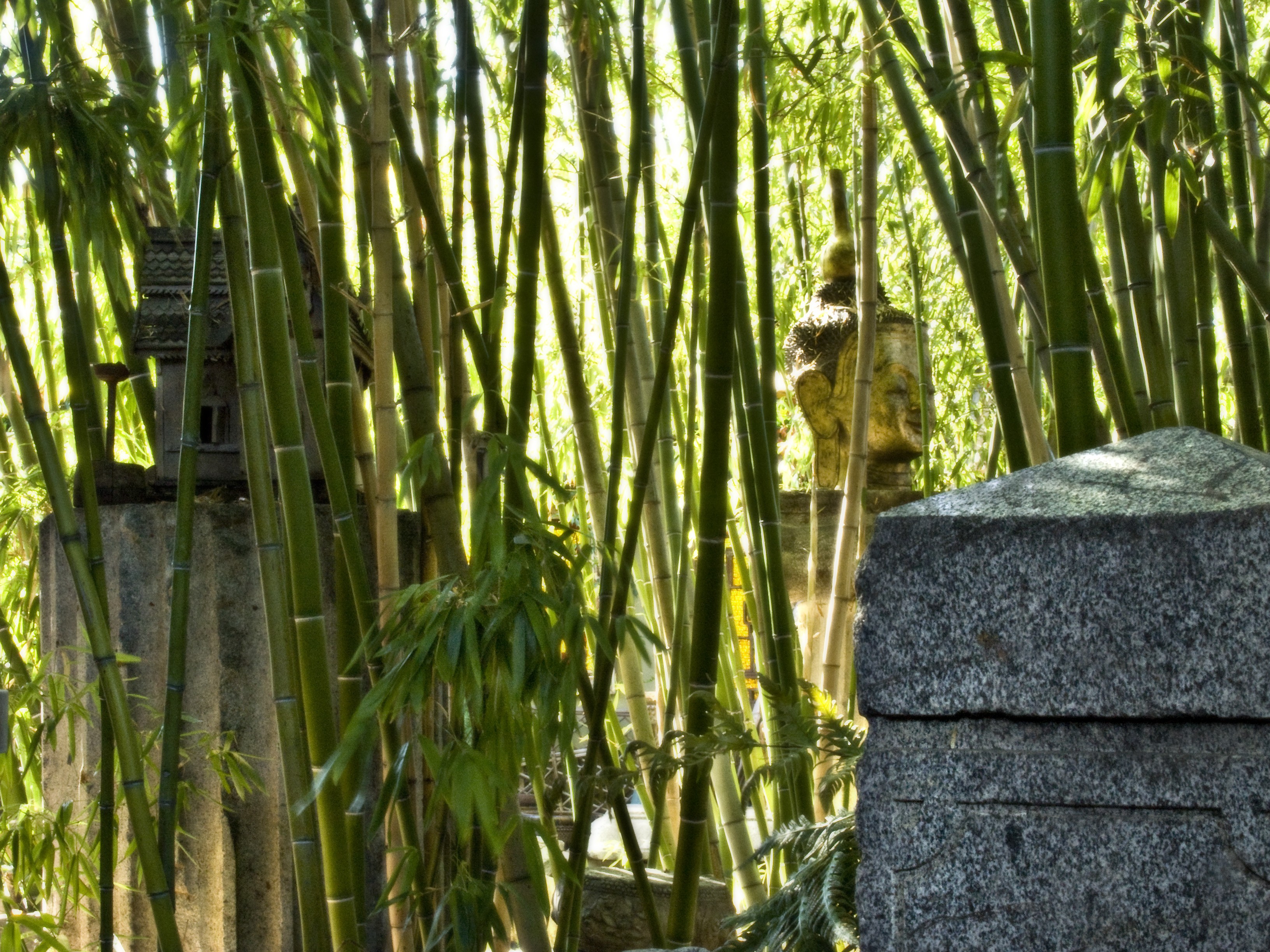 Cevan Forristt SPACES Archives