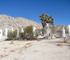 desert-christ-park-15