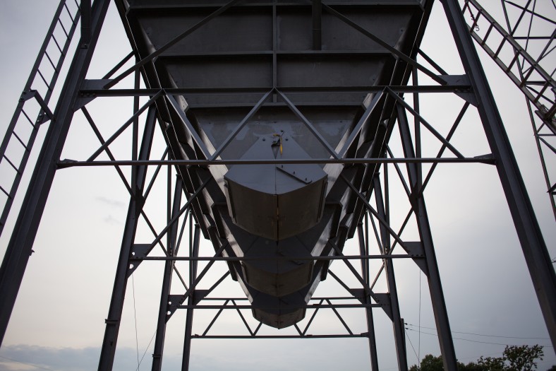 mindfield-5