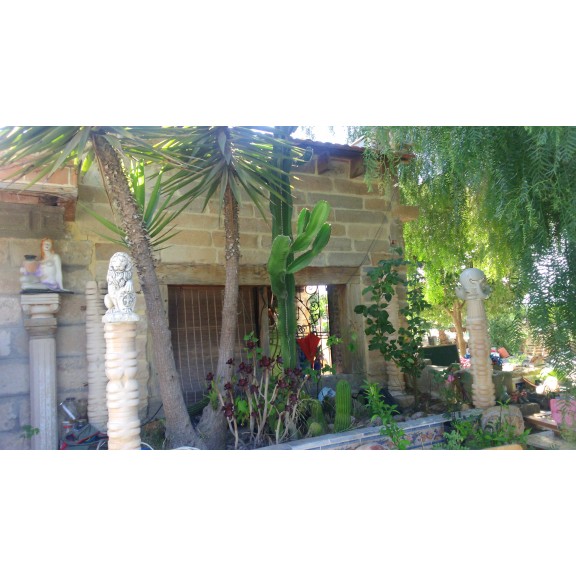 dsc0079