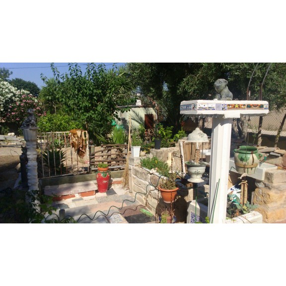 dsc0080
