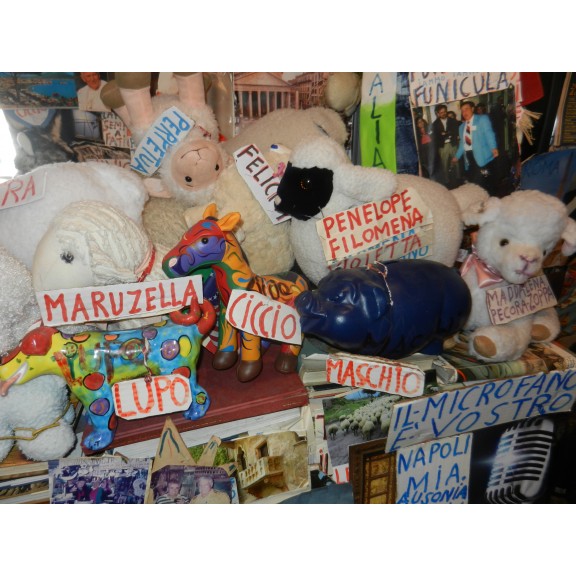 2014-may-silvio-store-interior-2