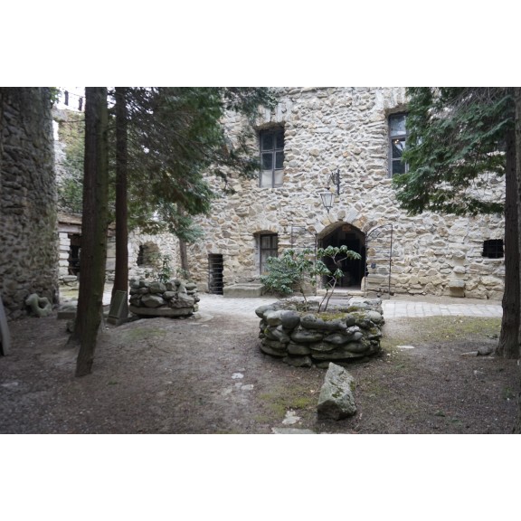 tarodi-var-037