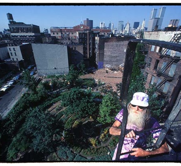 Purple Roof WTC photo by Harvey Wang