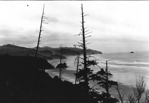 Screen Shot 2019 10 08 at 12.31.58 PM