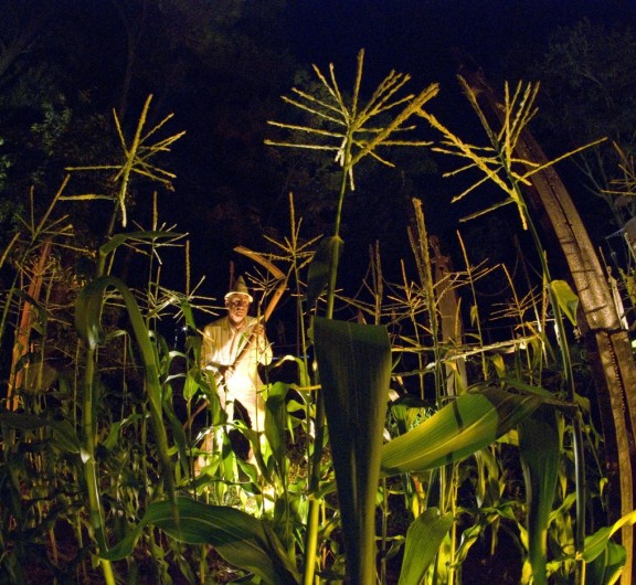 014 Druid Hill harvest