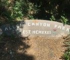 Art Feature Allen Canyon Park