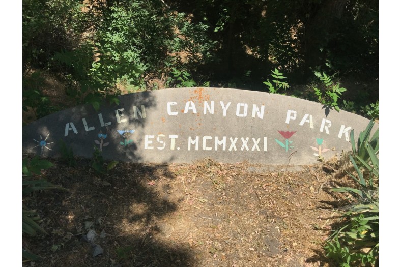 Art Feature Allen Canyon Park