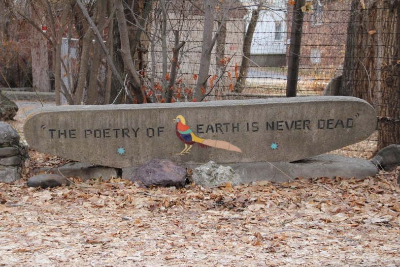 Art Feature The Poetry of Earth