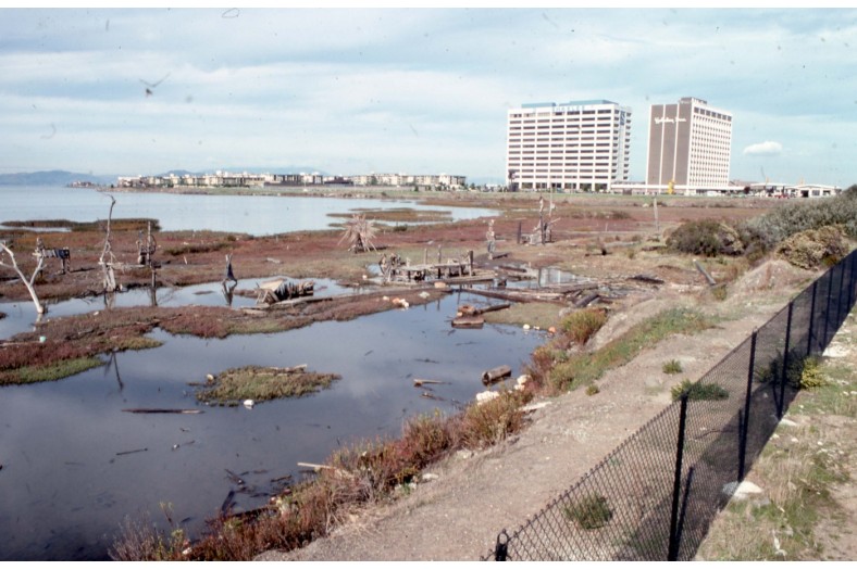 Emeryville016