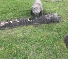 IMG 1956