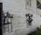 IMG 4197