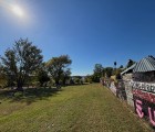 IMG 4250