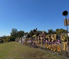 IMG 4254