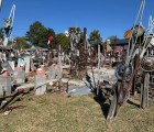 IMG 4292