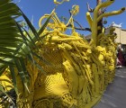 IMG 4676