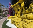 IMG 4683