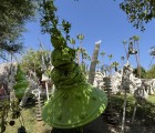 IMG 4698