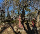 IMG 4725