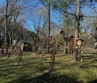 IMG 4728