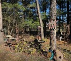 IMG 4741