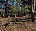 IMG 4745
