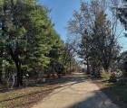 IMG 4750